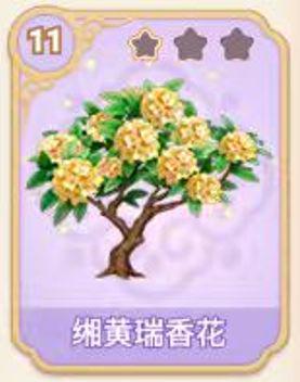 缃黄瑞香花