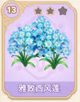 雅致西风莲