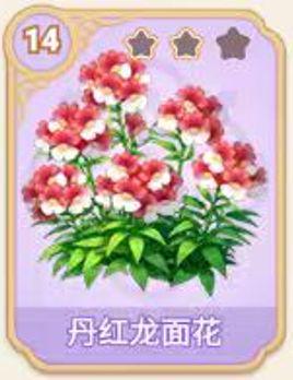 丹红龙面花