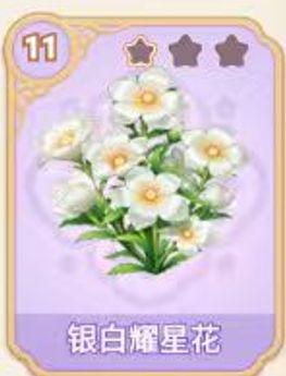 银白耀星花